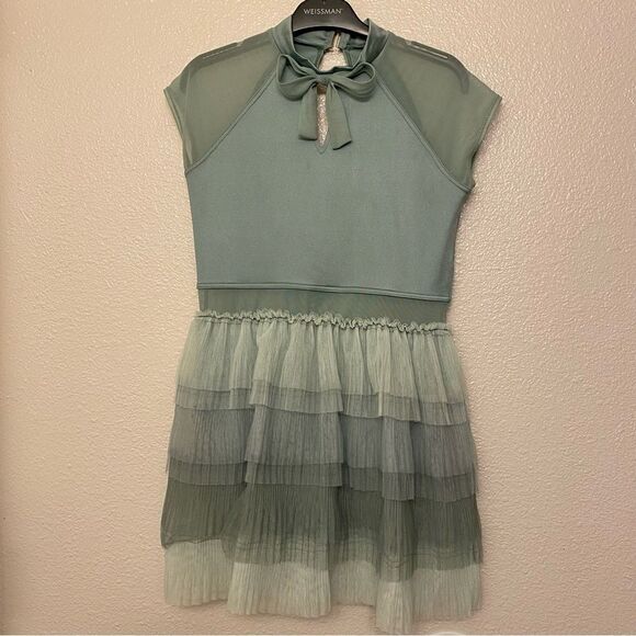 Weissman dance costume sage green modest Just As I Am
13835 tulle skirt XLC - Picture 2 of 13